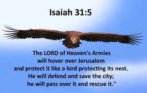 large bird Isaiah 31